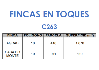 C263 – Fincas en Villamor – Toques.