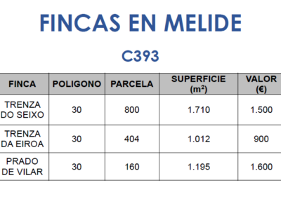C393 – Fincas en Melide.