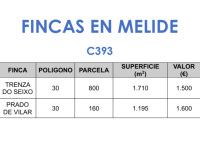 C393 – Fincas en Melide.