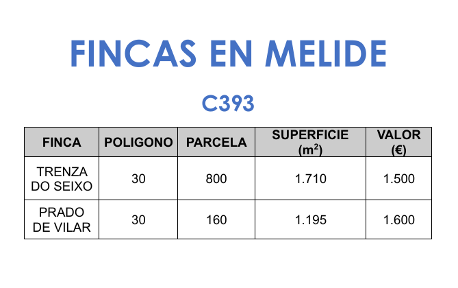 C393 – Fincas en Melide.