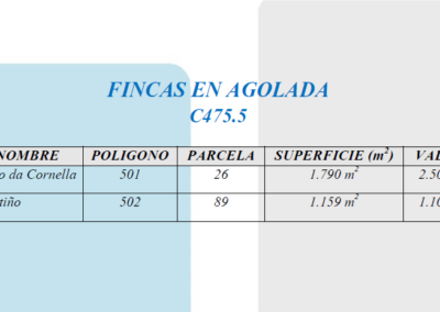 C475.5 – Fincas en Agolada.