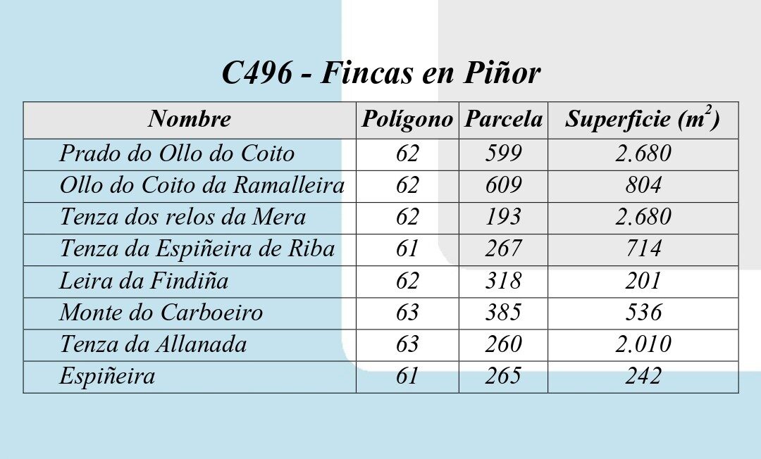 C496 – Lote de fincas en Piñor.