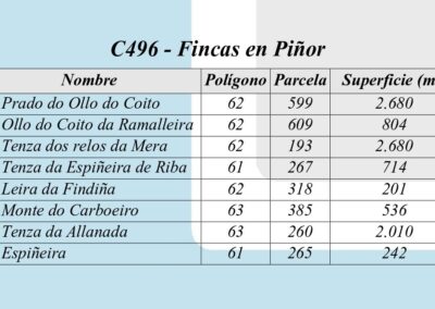 C496 – Lote de fincas en Piñor.