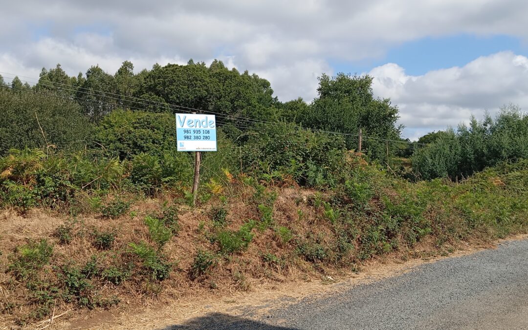 C489.1 – Finca urbanizable próxima a Melide.